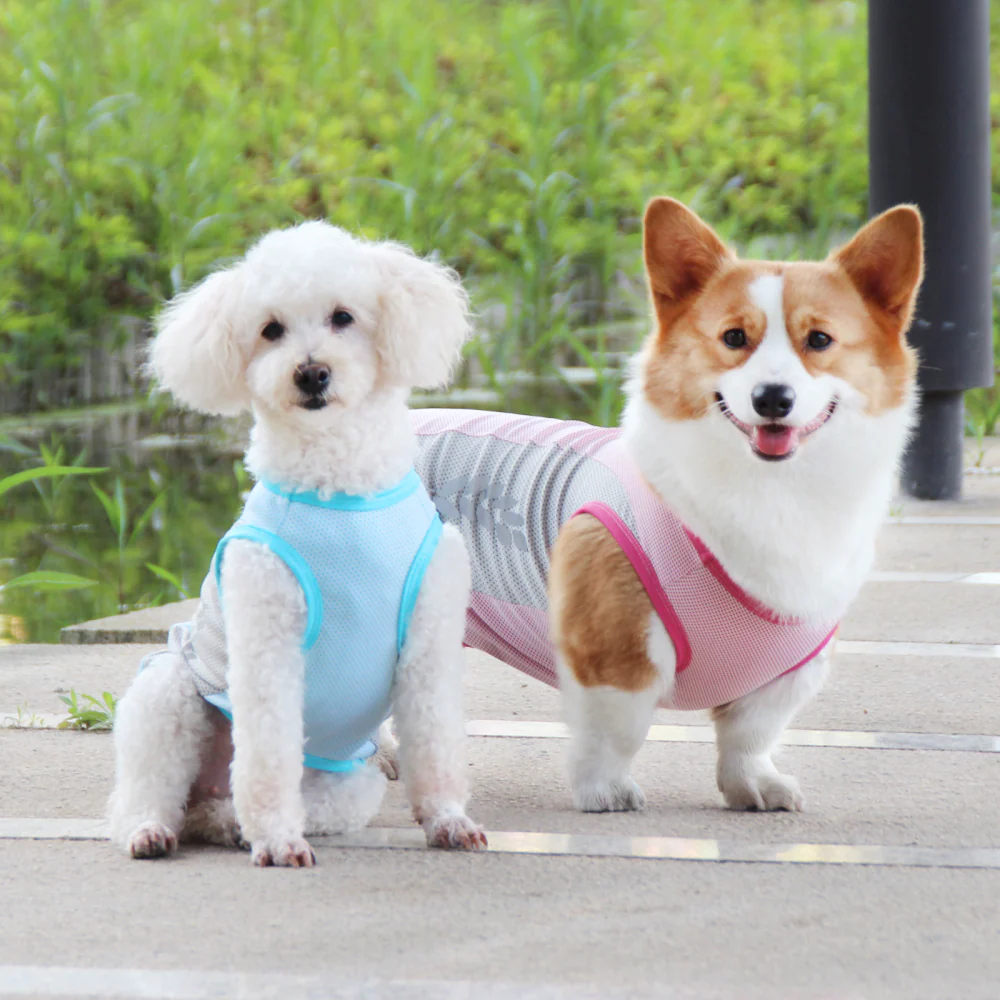 Talking Dog Club Coolios Cooling Vests for Dogs (Pink) - Image 5