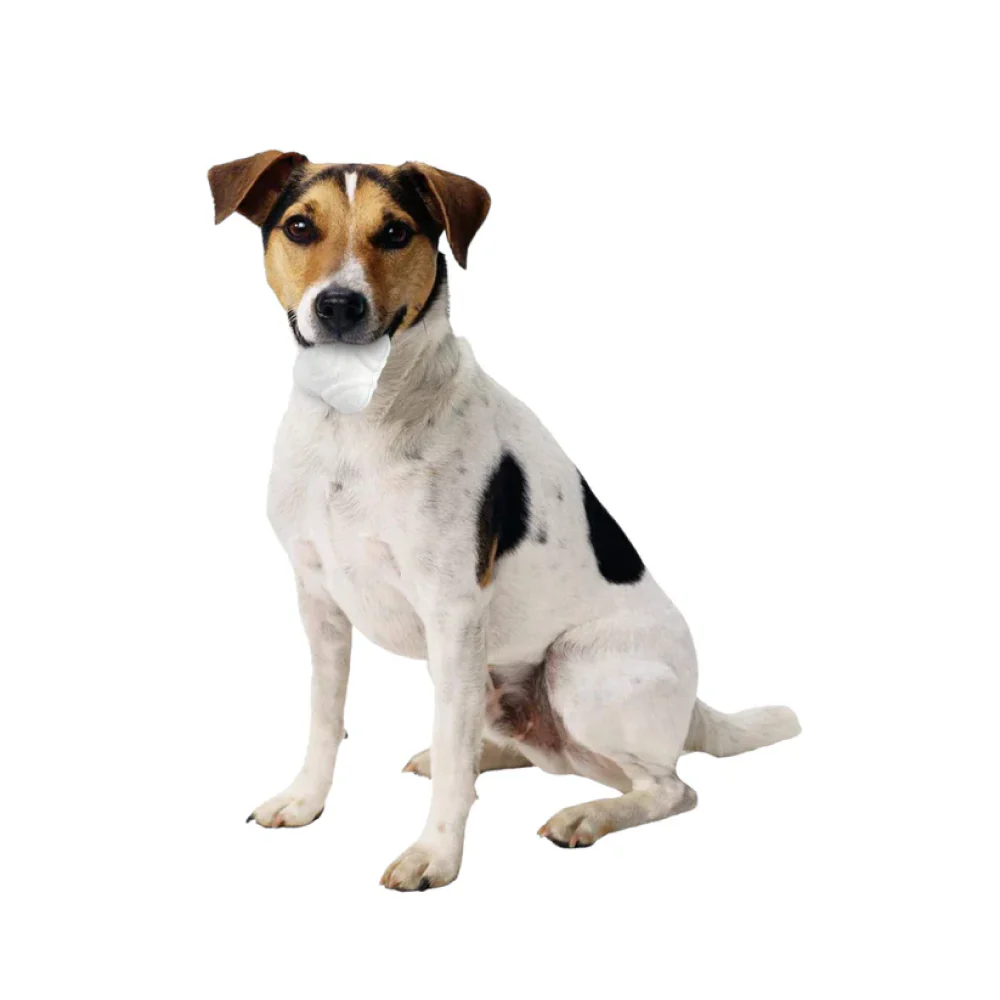 Talking Dog Club Crazy Bounce Meta Ball Toy for Dogs (White) - Image 7