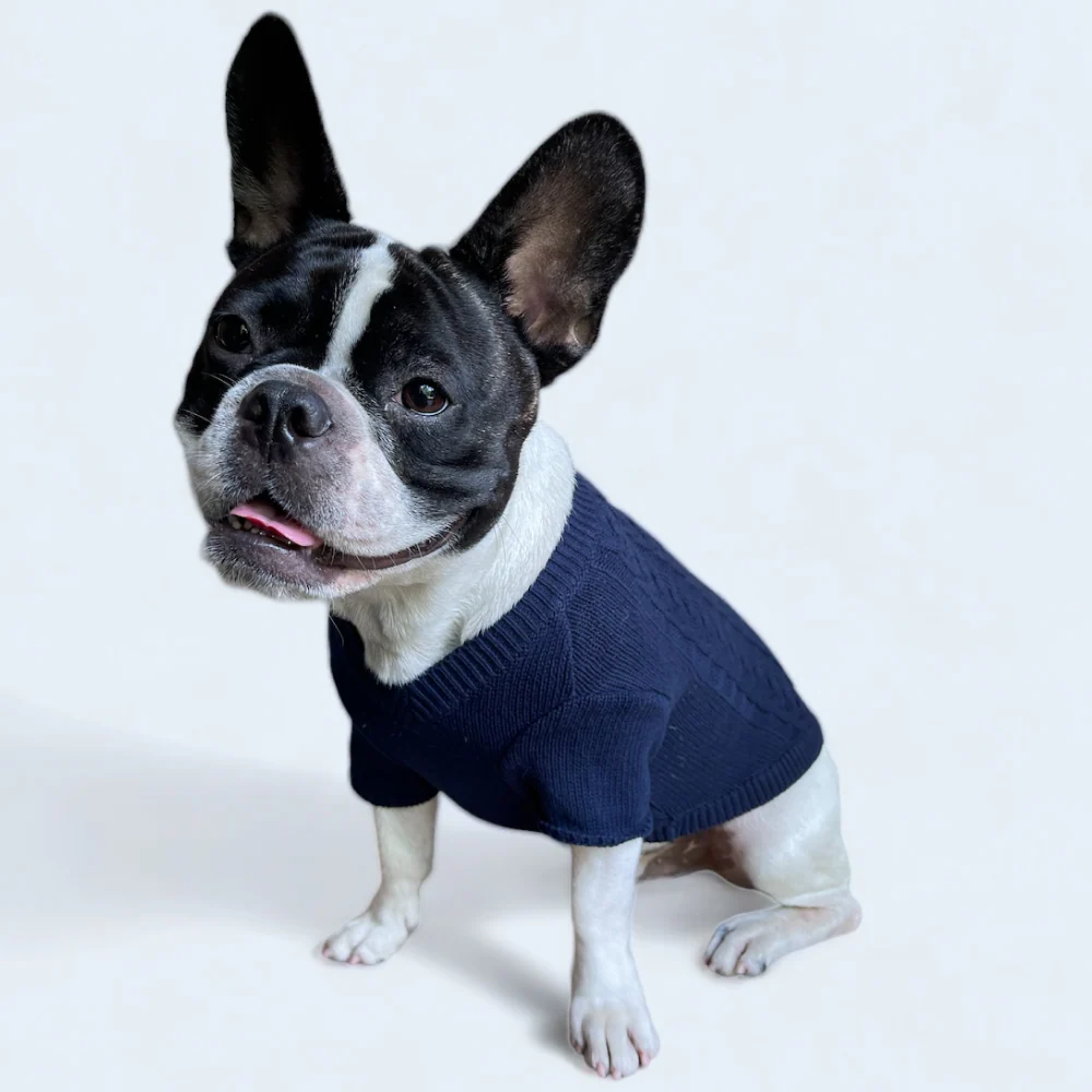 Talking Dog Club Doggy Jumper Sweater for Dogs and Cats (Navy Blue) - Image 5