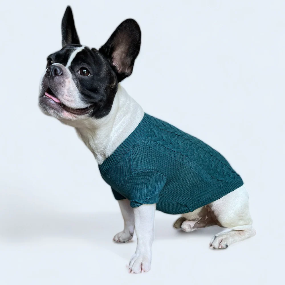 Talking Dog Club Doggy Jumper Sweater for Dogs and Cats (Dark Green) - Image 6