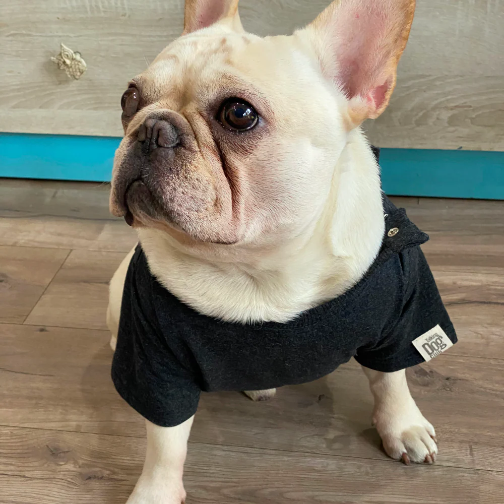 Talking Dog Club Doggy Warmer Solid Sweatshirt for Dogs (Charcoal) - Image 3
