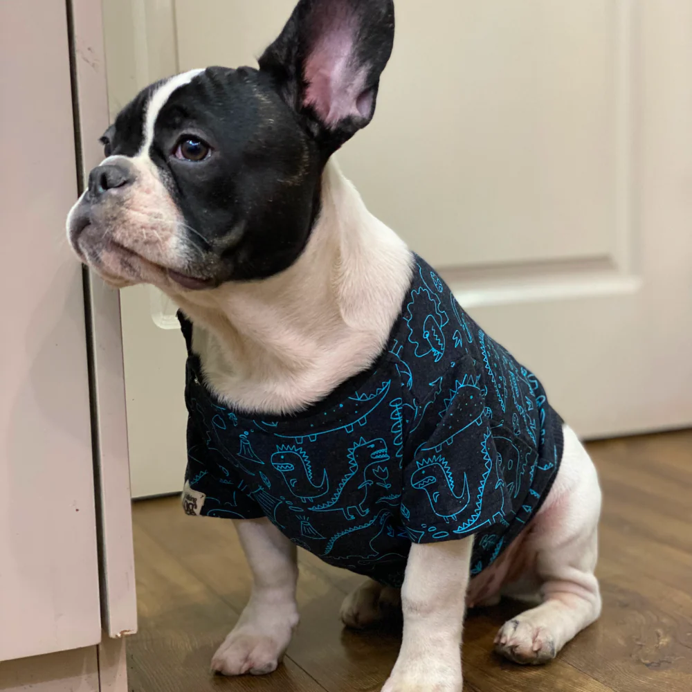 Talking Dog Club Doggy Warmer Dino Sweatshirt for Dogs (Charcoal) - Image 15