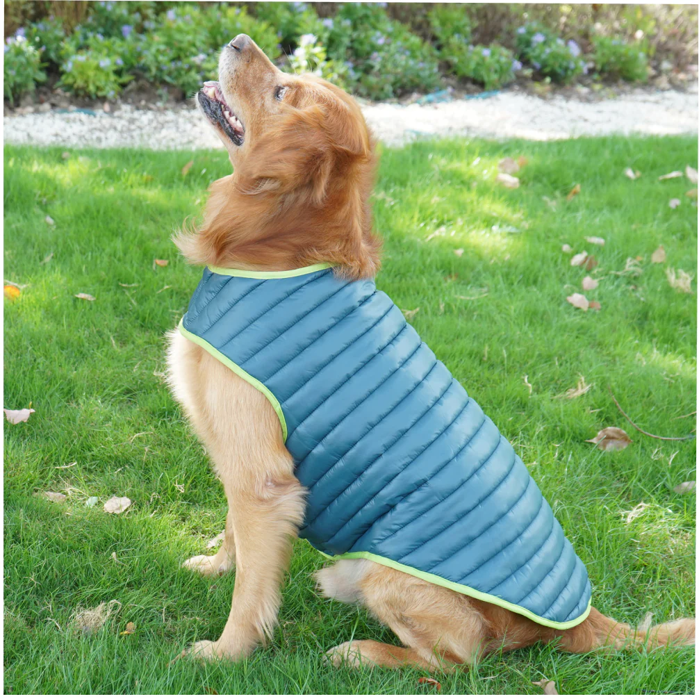 Talking Dog Club Double Trouble Reversible Jackets for Dogs (Blue/Green) - Image 2