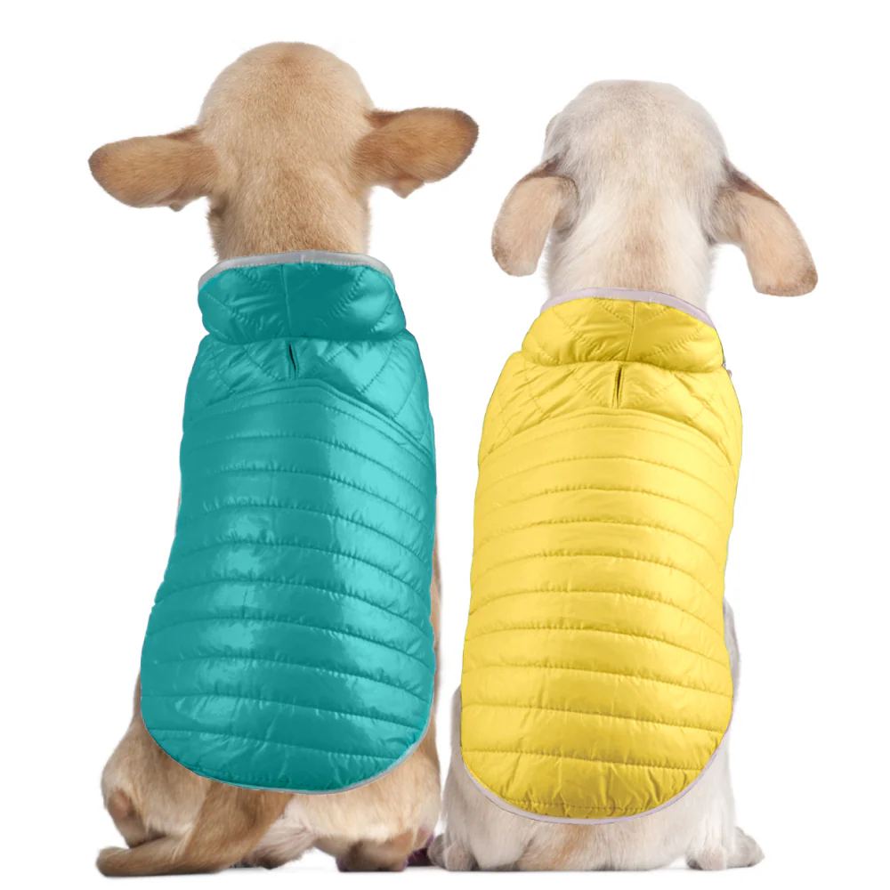 Talking Dog Club Double Trouble Reversible Jackets for Dogs (Blue/Yellow) - Image 2