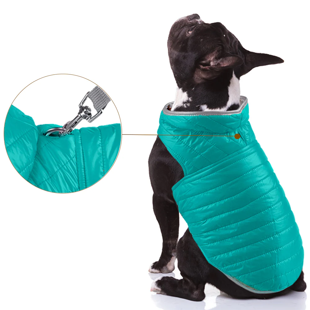Talking Dog Club Double Trouble Reversible Jackets for Dogs (Blue/Yellow) - Image 4
