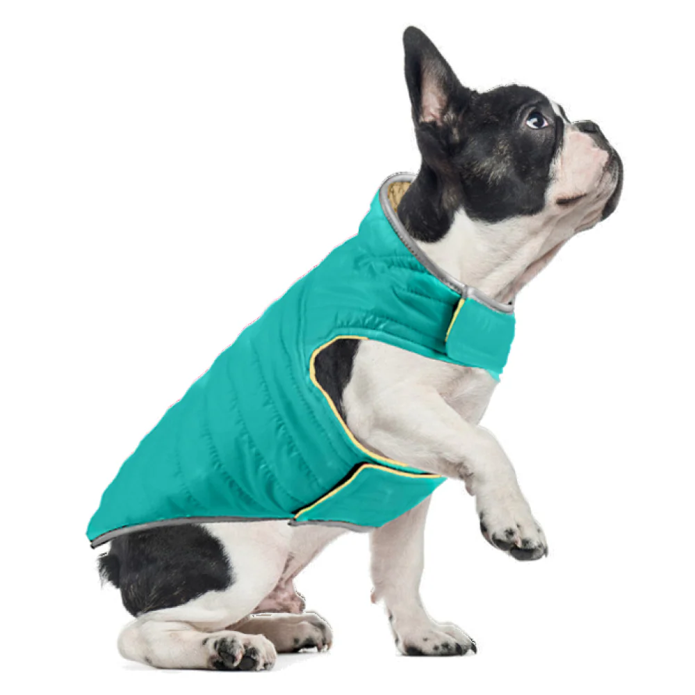 Talking Dog Club Double Trouble Reversible Jackets for Dogs (Blue/Yellow) - Image 6