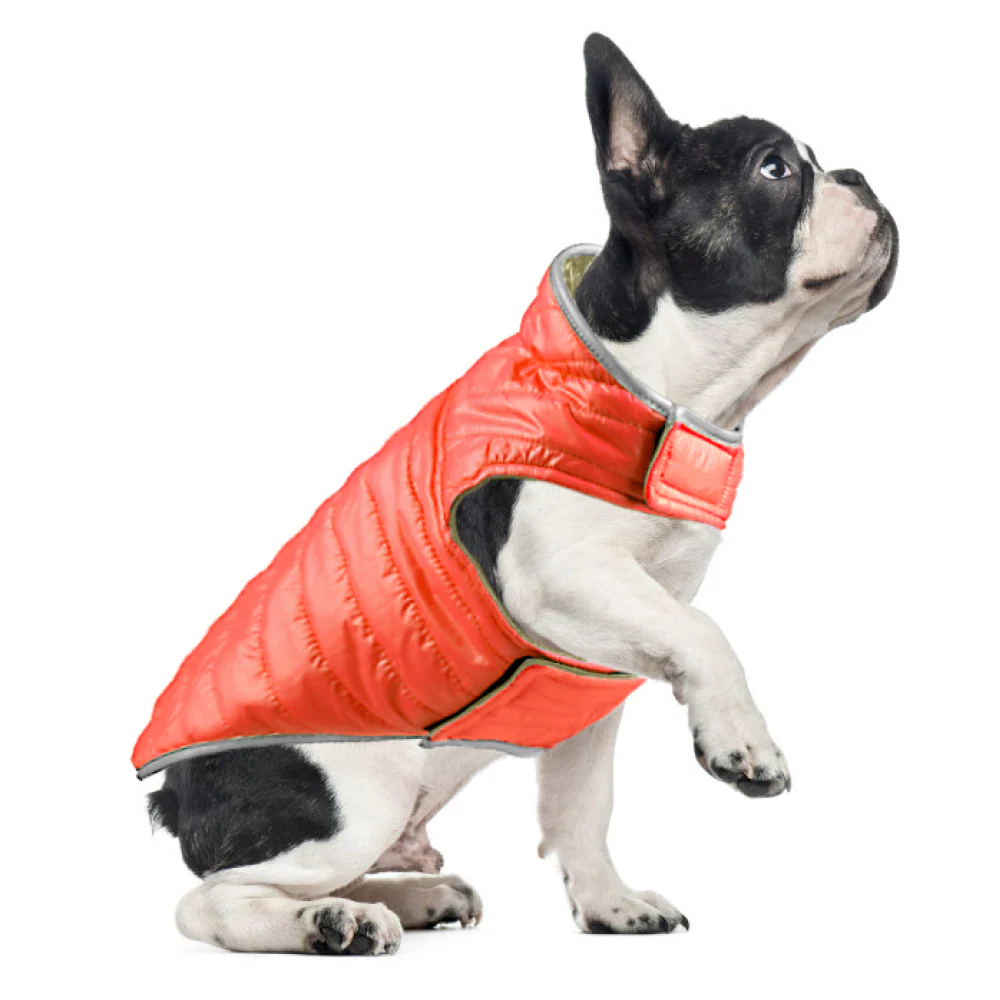 Talking Dog Club Double Trouble Reversible Jackets for Dogs (Orange/Brown) - Image 6