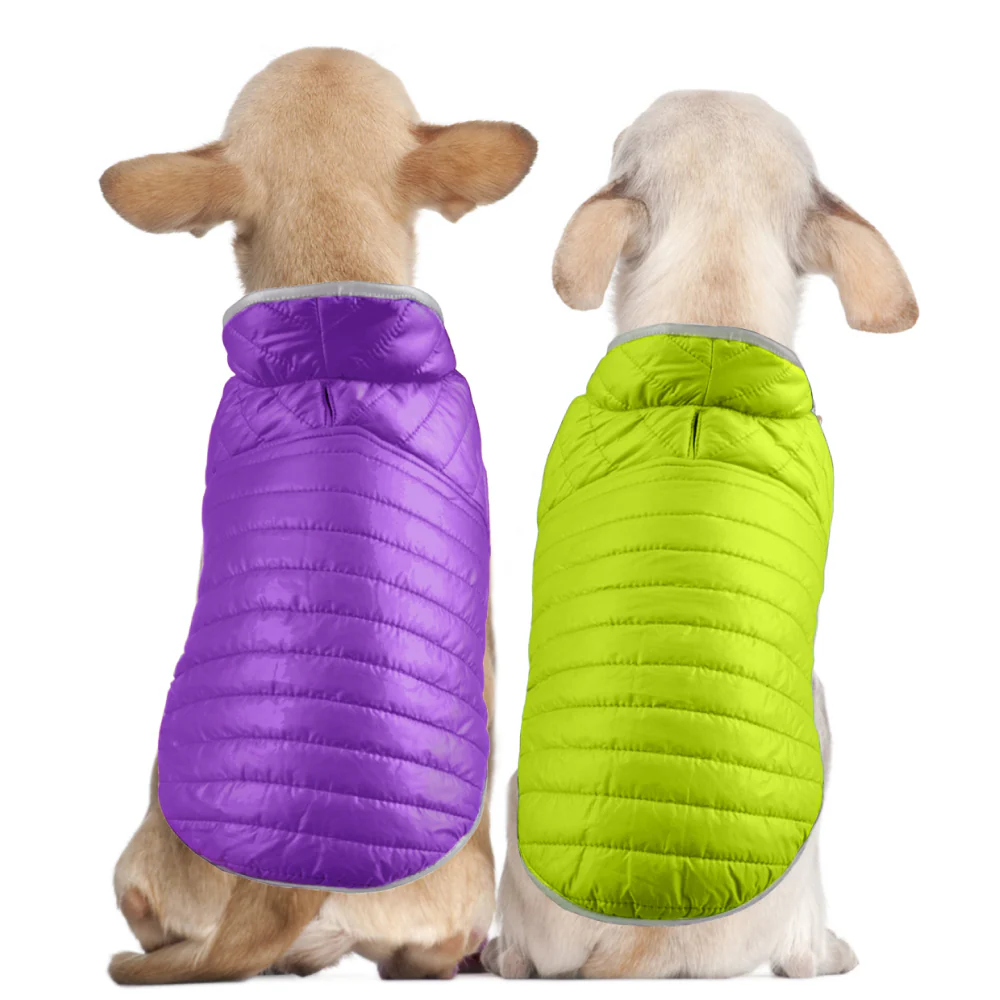 Talking Dog Club Double Trouble Reversible Jackets for Dogs (Purple/Neon Green) - Image 2