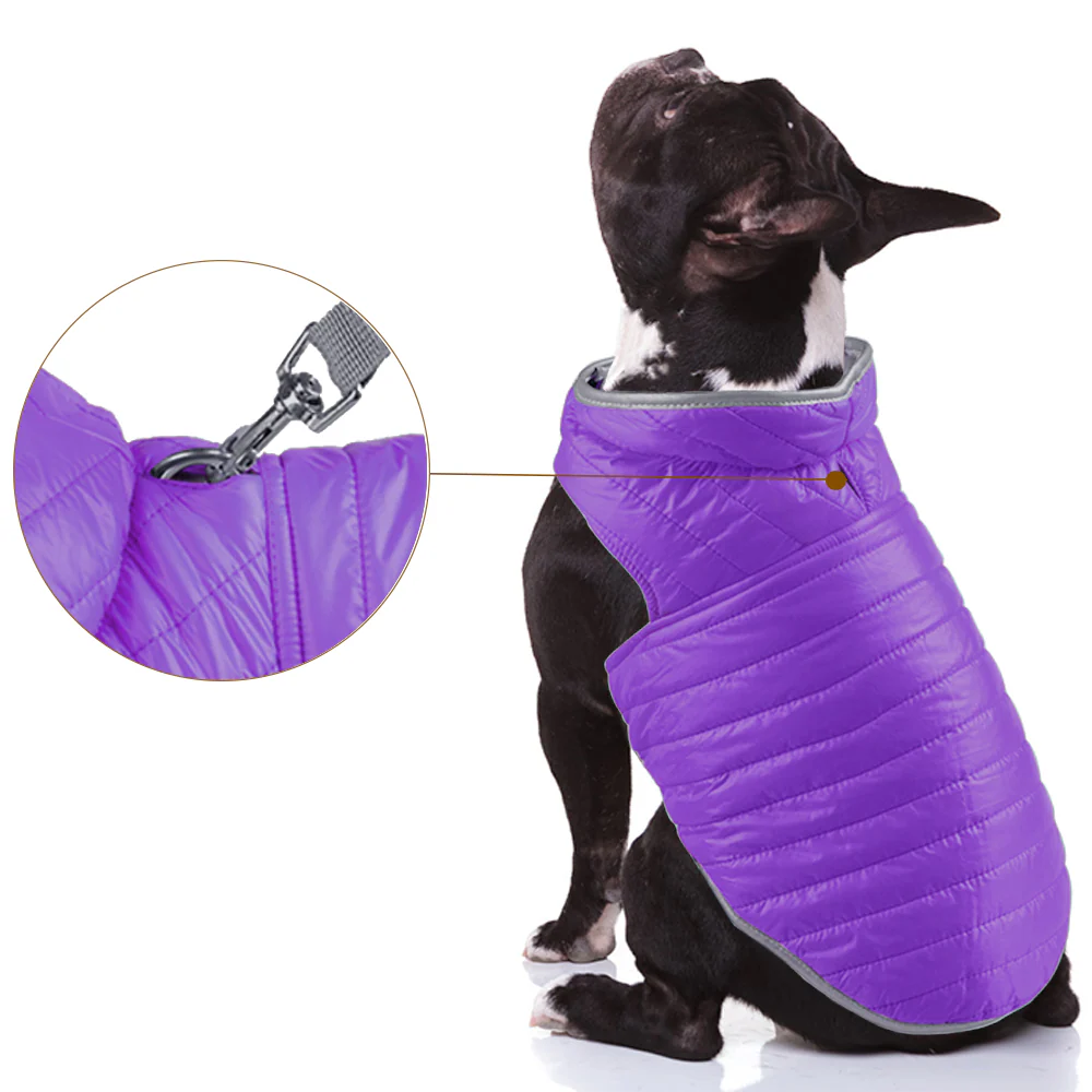 Talking Dog Club Double Trouble Reversible Jackets for Dogs (Purple/Neon Green) - Image 4