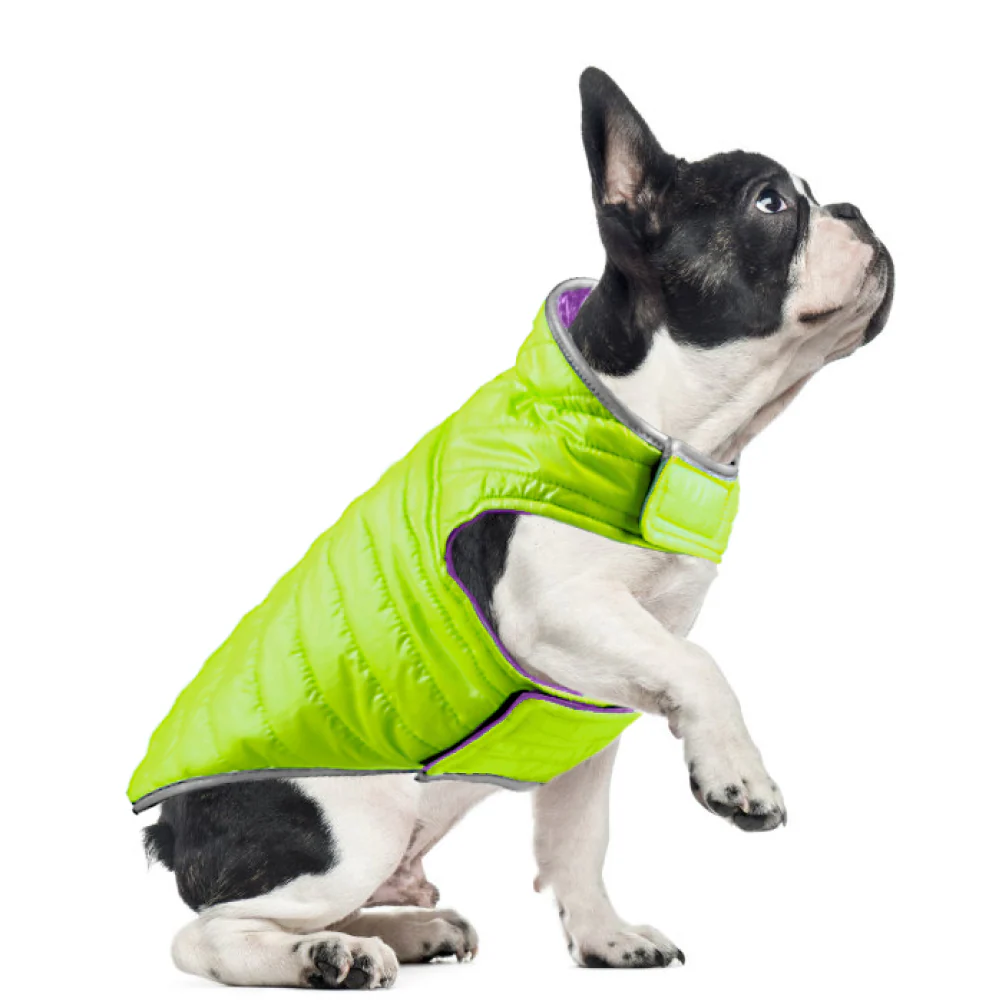 Talking Dog Club Double Trouble Reversible Jackets for Dogs (Purple/Neon Green) - Image 6