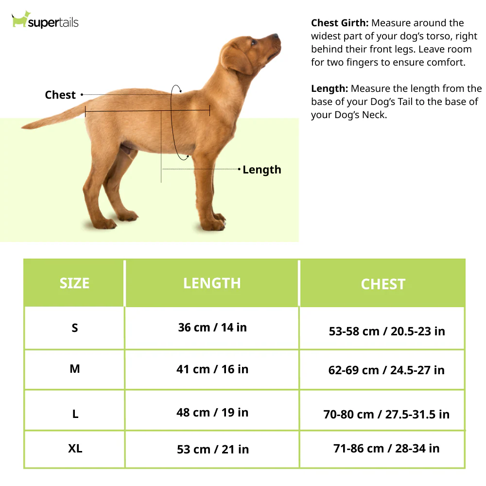 Talking Dog Club Double Trouble Reversible Jackets for Dogs (Purple/Neon Green) - Image 7