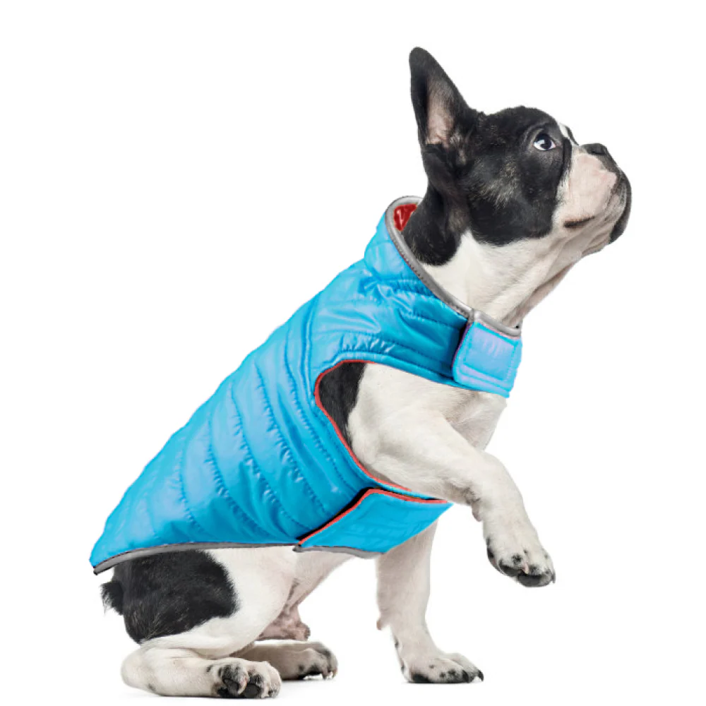 Talking Dog Club Double Trouble Reversible Jackets for Dogs (Red/Blue) - Image 2