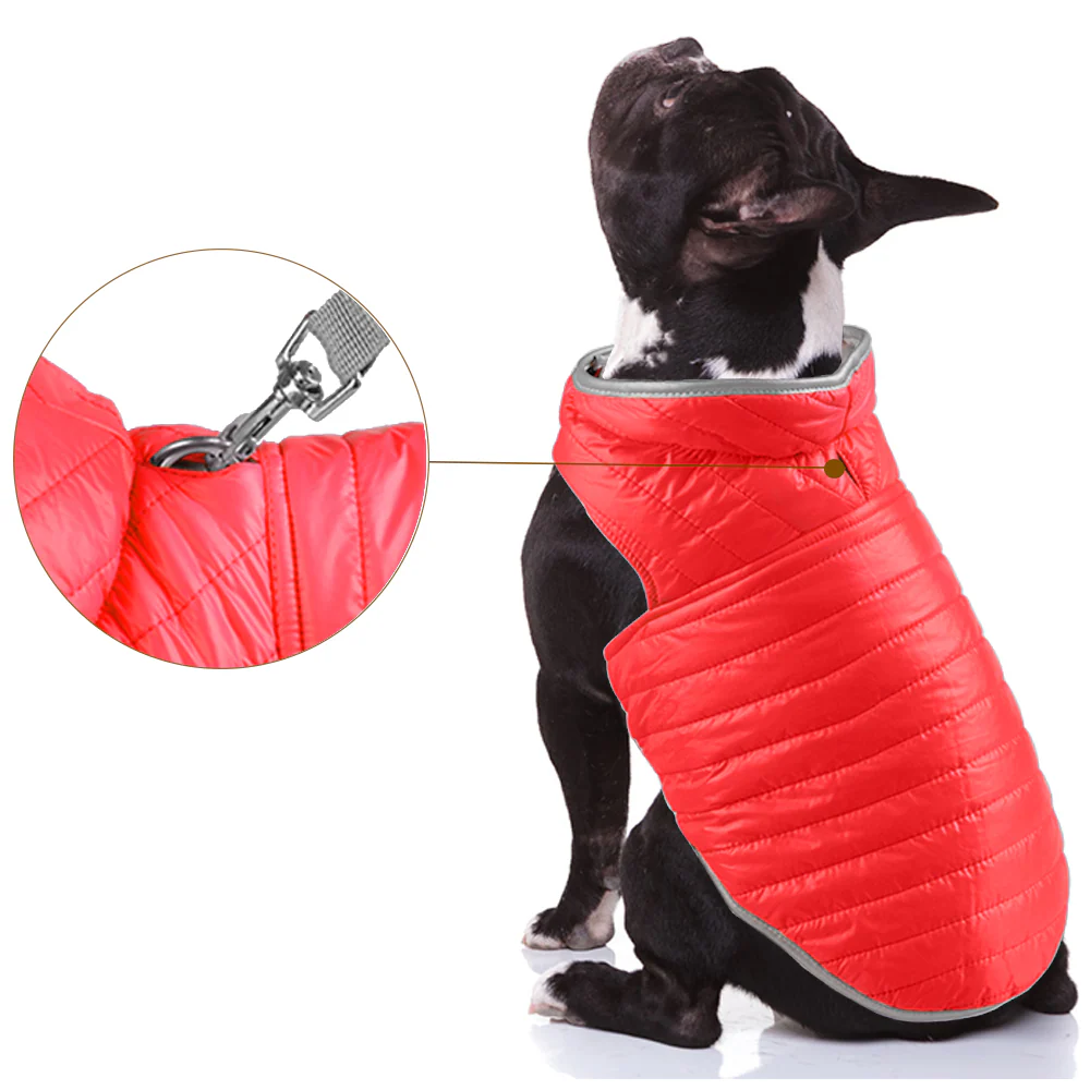 Talking Dog Club Double Trouble Reversible Jackets for Dogs (Red/Blue) - Image 3