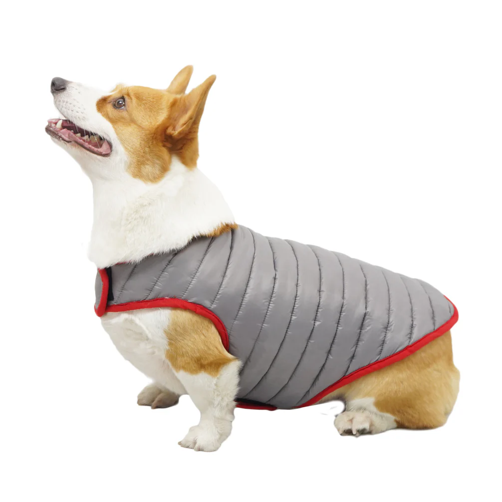 Talking Dog Club Double Trouble Reversible Jackets for Dogs (Red/Sliver) - Image 2