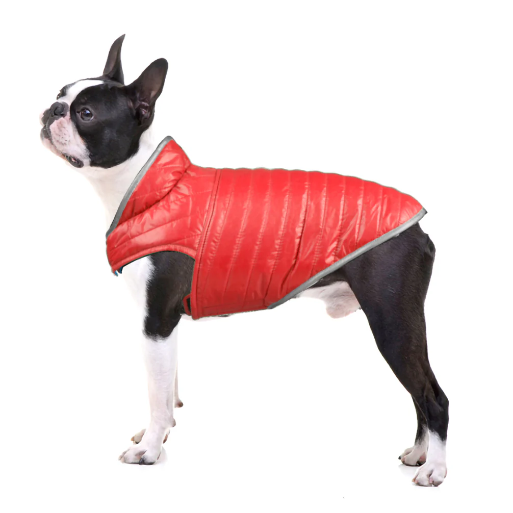 Talking Dog Club Double Trouble Reversible Jackets for Dogs (Red/Sliver) - Image 4