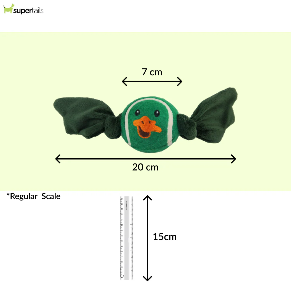 Talking Dog Club Duck Ball with Wings Toy for Dogs (Green) - Image 2
