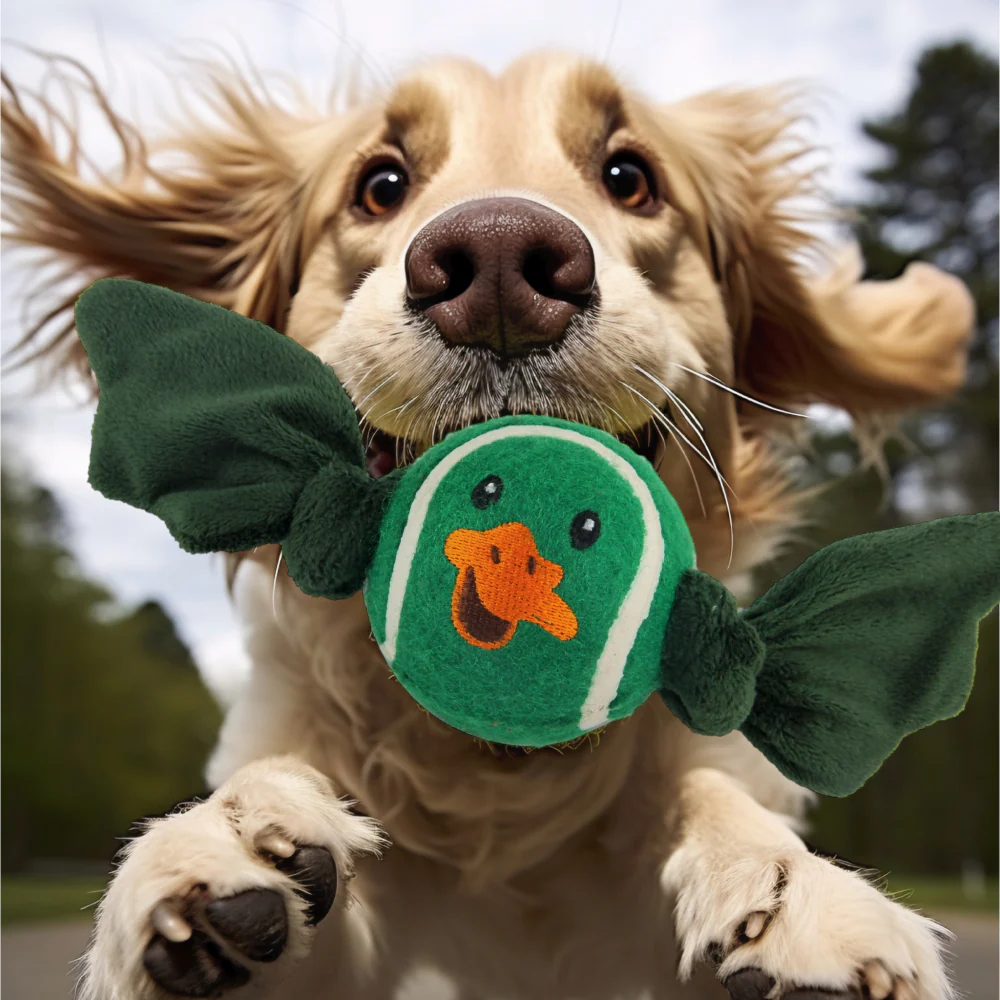 Talking Dog Club Duck Ball with Wings Toy for Dogs (Green) - Image 6