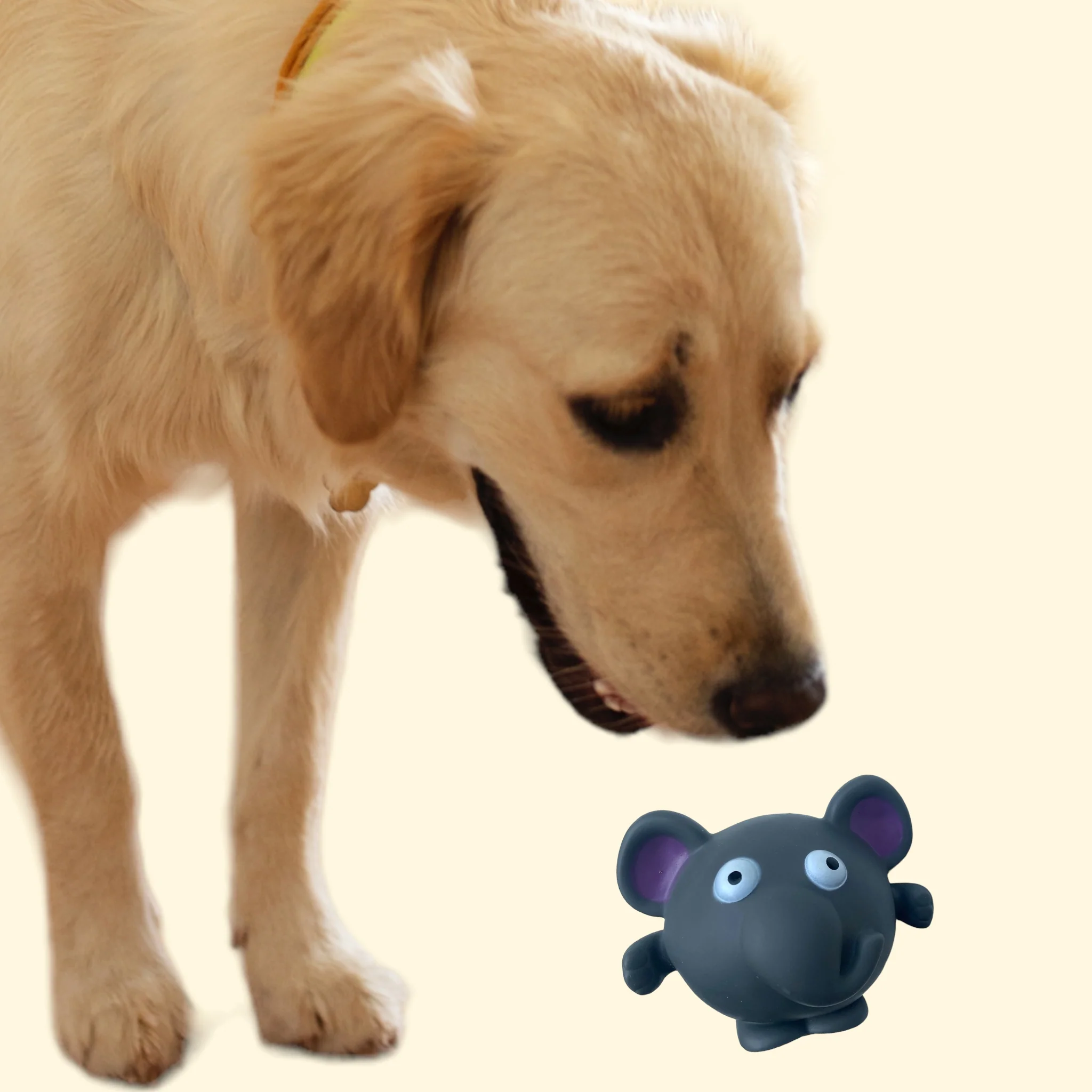 Talking Dog Club Elephant Bouncy Ball Toy for Dogs (Grey) - Image 5