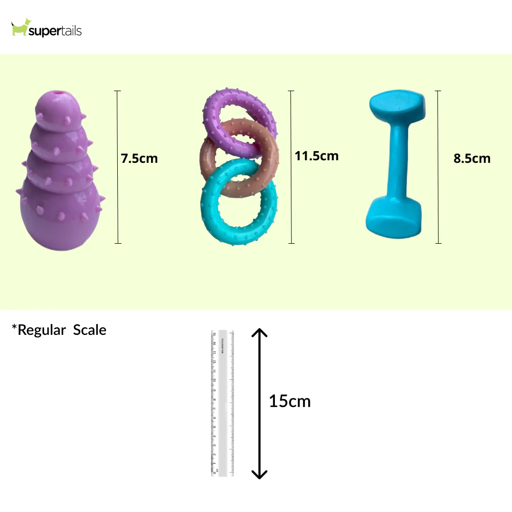 Talking Dog Club First Puppy Toy Set for Dogs (Multicolour) - Image 2