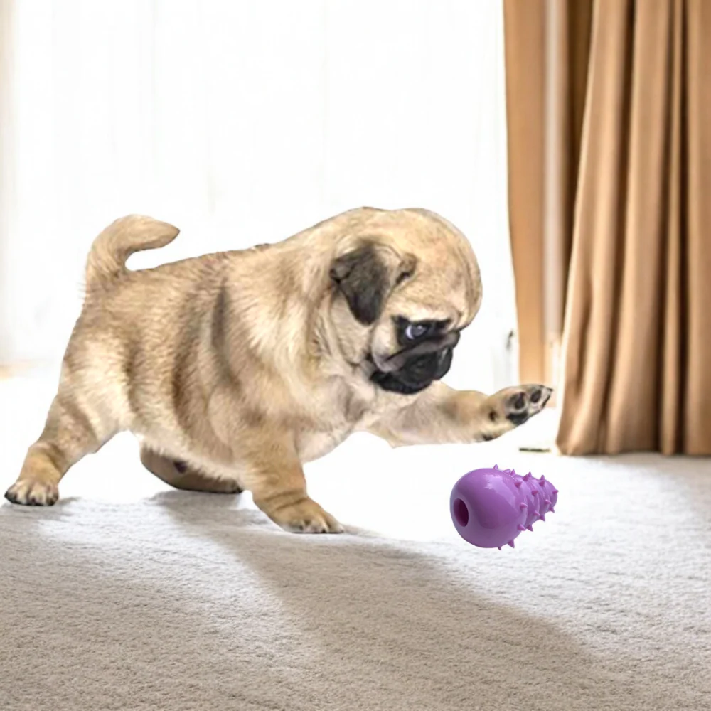Talking Dog Club First Puppy Toy Set for Dogs (Multicolour) - Image 3