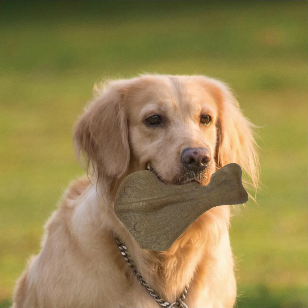 Talking Dog Club Flap Chew Nylon Bone Heavy Chew Toy for Dogs (Brown) - Image 4