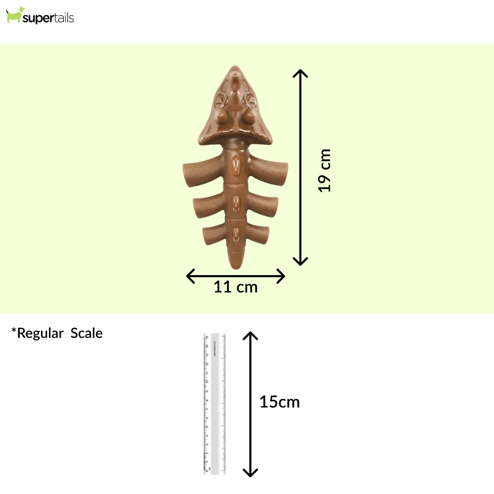 Talking Dog Club Dinosaur Nylon Bone Heavy Chew Toy for Dogs (Brown) - Image 2