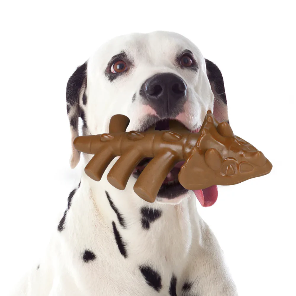 Talking Dog Club Dinosaur Nylon Bone Heavy Chew Toy for Dogs (Brown) - Image 5