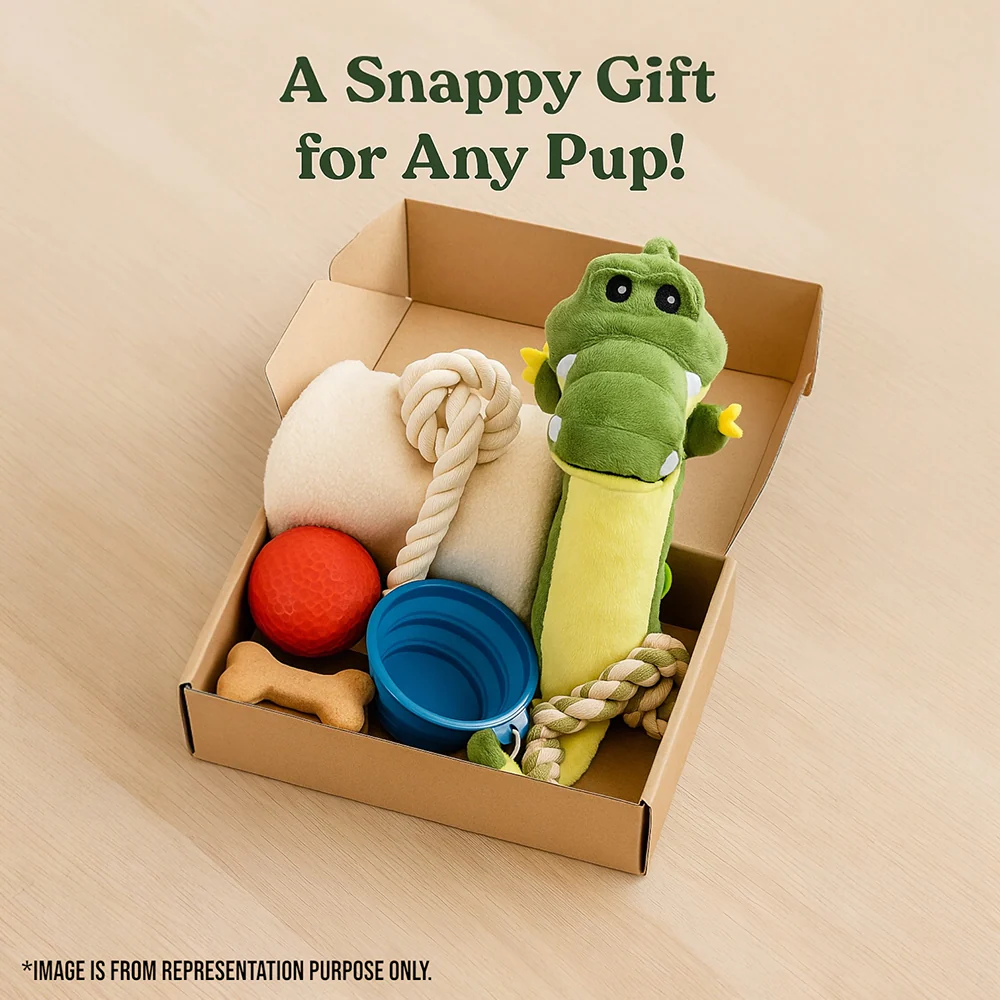 Talking Dog Club Gator Plush Toy for Dogs (Green) - Image 9