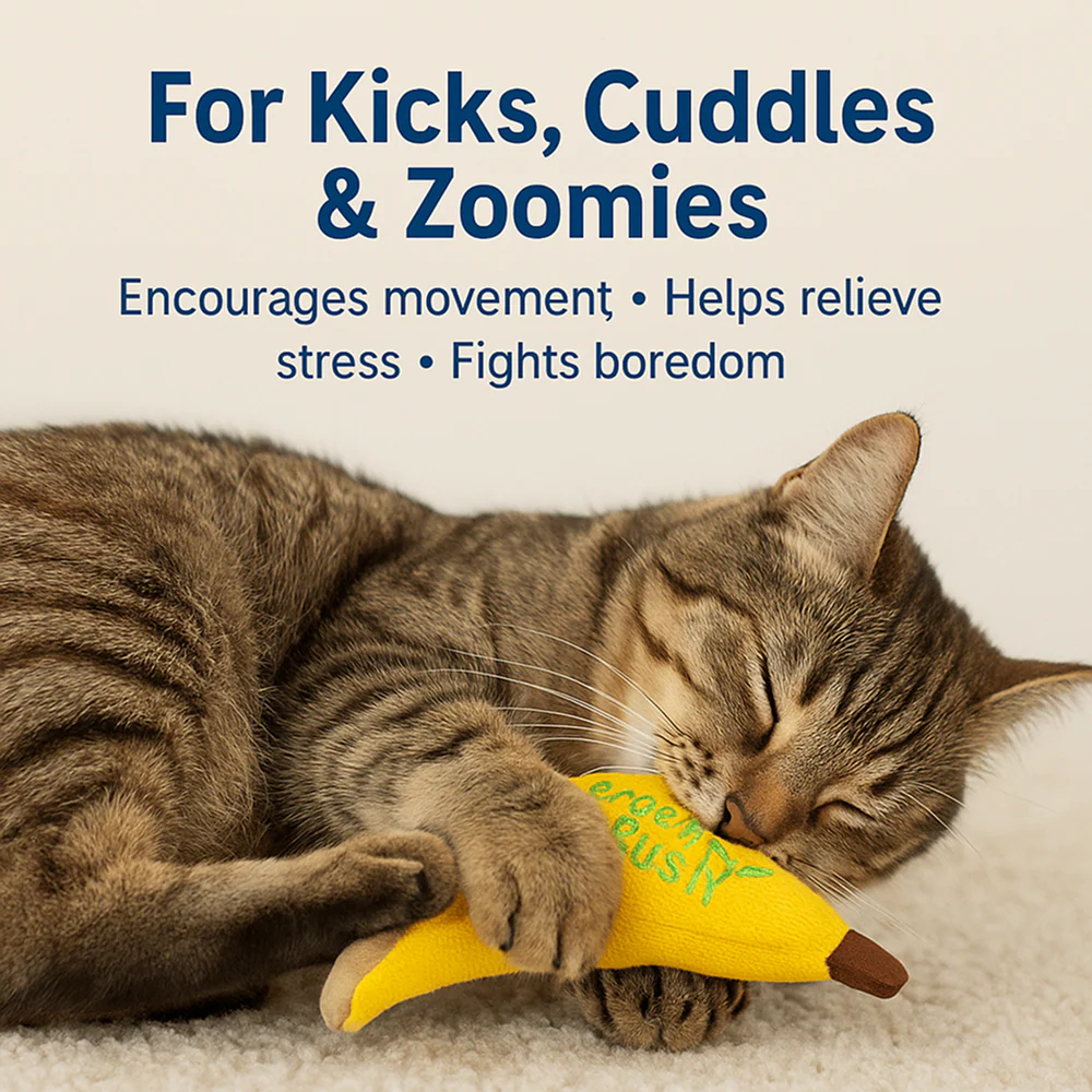 Talking Dog Club Go Bananas Catnip Toy for Cats (Yellow) - Image 4