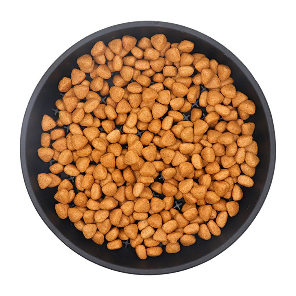 Talking Dog Club Lickables Licking Bowls for Dogs and Cats (Black) - Image 8