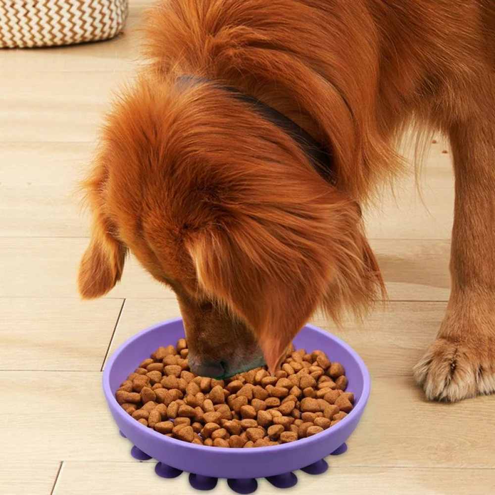 Talking Dog Club Lickables Licking Bowls for Dogs and Cats (Blue) - Image 4