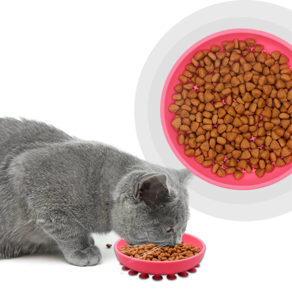 Talking Dog Club Lickables Licking Bowls for Dogs and Cats (Pink) - Image 6