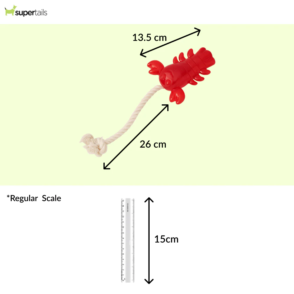 Talking Dog Club Lobster with Rope Treat Dispenser Toy for Dogs (Red) - Image 2