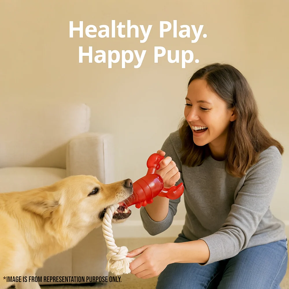 Talking Dog Club Lobster with Rope Treat Dispenser Toy for Dogs (Red) - Image 4