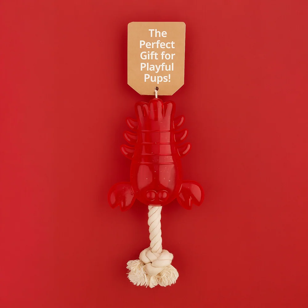 Talking Dog Club Lobster with Rope Treat Dispenser Toy for Dogs (Red) - Image 5