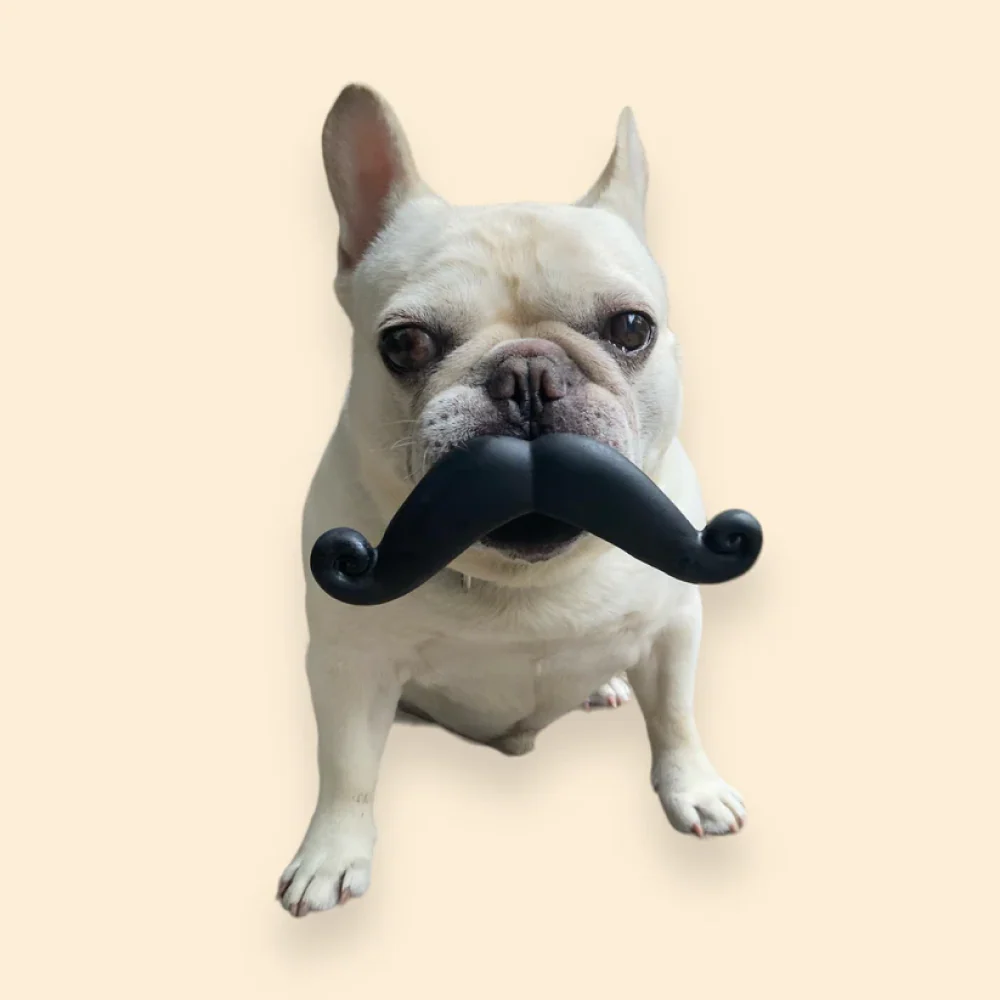 Talking Dog Club Moustache Squeaky Toy for Dogs (Black) - Image 4