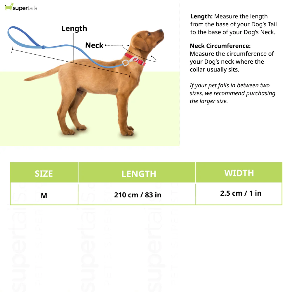Talking Dog Club Multifunction Handsfree Leash for Dogs (Purple/Green) - Image 2