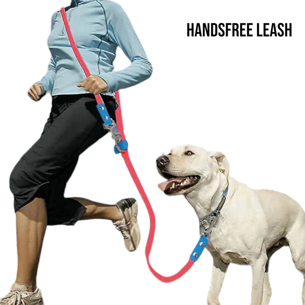 Talking Dog Club Multifunction Handsfree Leash for Dogs (Purple/Green) - Image 5