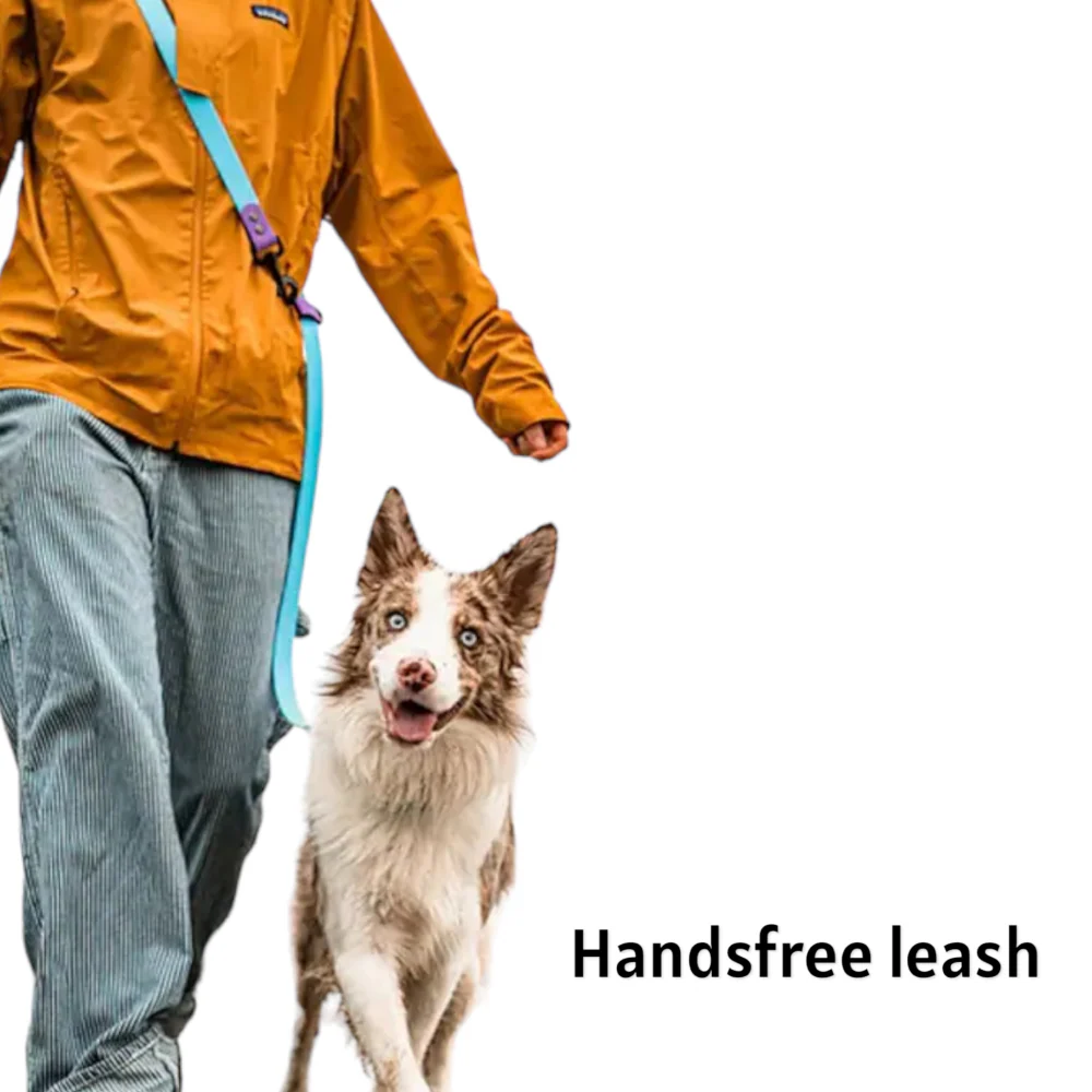 Talking Dog Club Multifunction Handsfree Leash for Dogs (Purple/Green) - Image 7