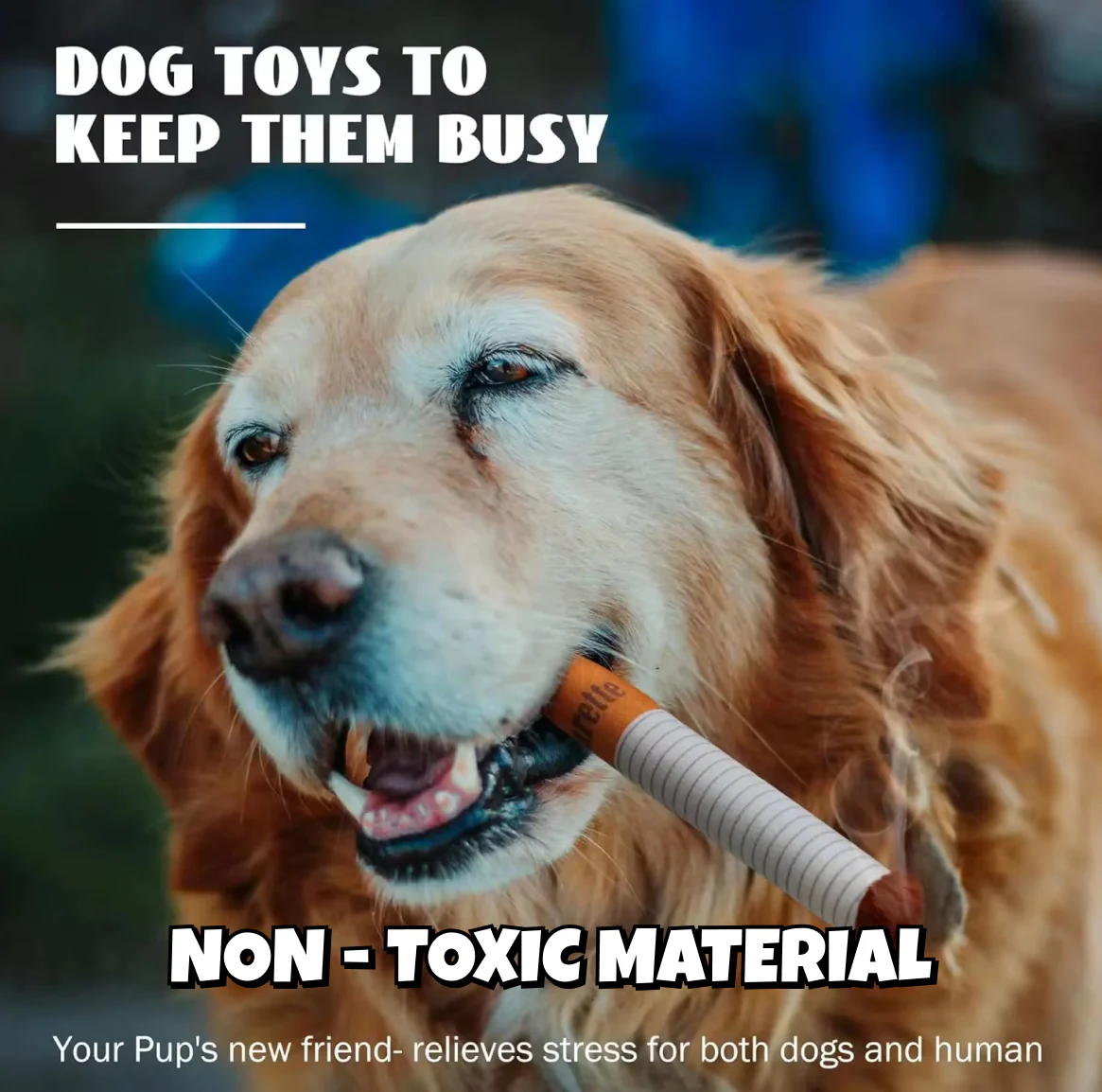 Talking Dog Club No Smoke Cigarette with Cover Plush Toy for Dogs - Image 20