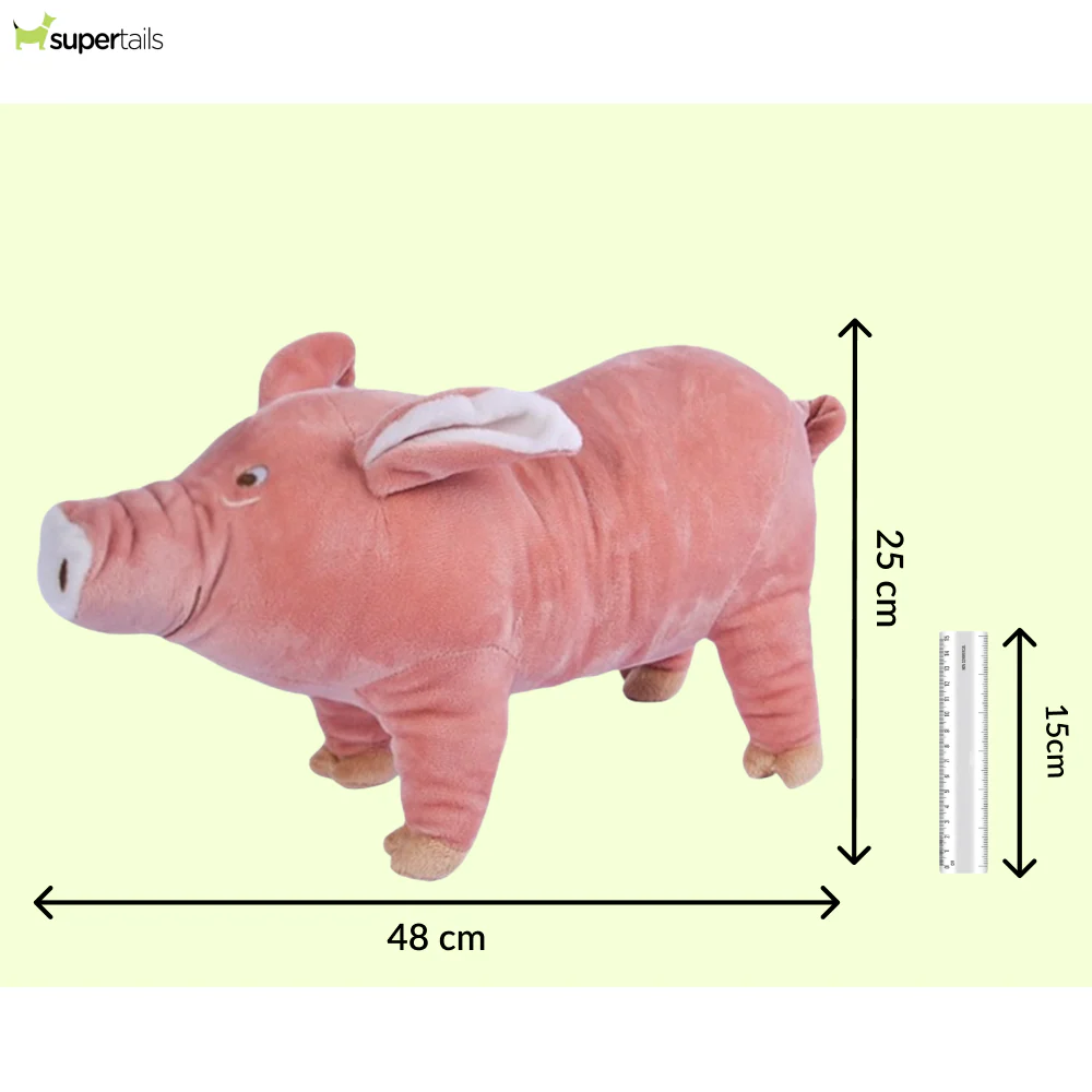 Talking Dog Club Piggy Plush Toy for Dogs (Pink) - Image 2