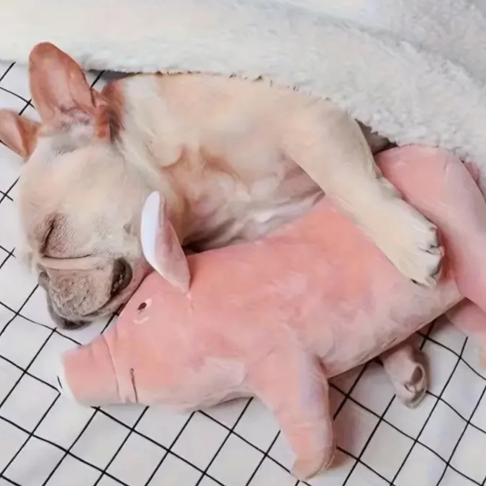 Talking Dog Club Piggy Plush Toy for Dogs (Pink) - Image 4