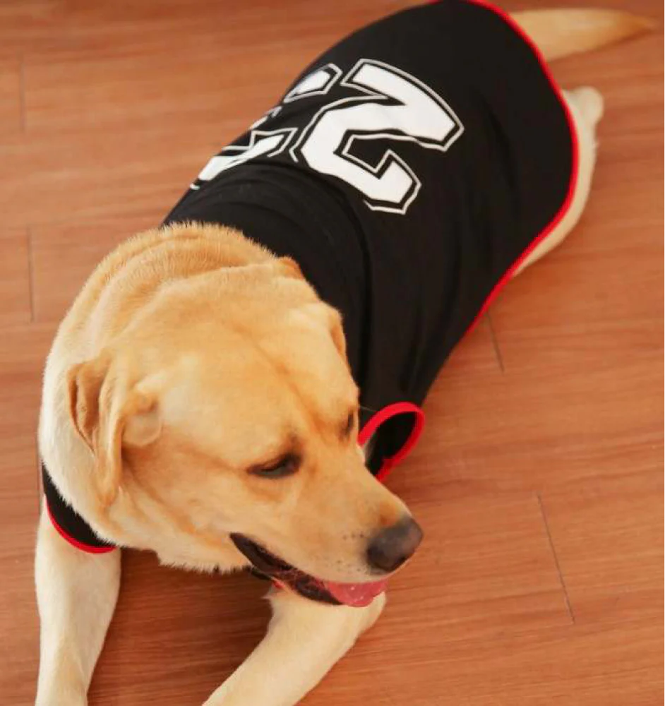 Talking Dog Club Player Ltd Edition Sports Jersey for Dogs (Black) - Image 4