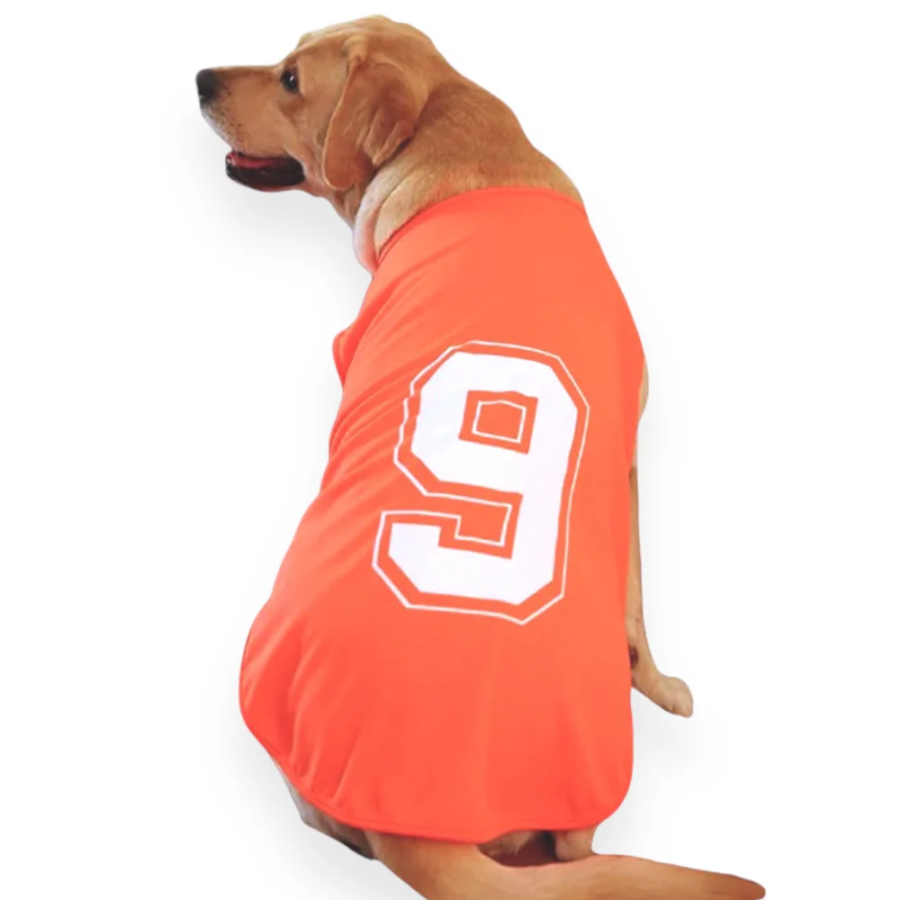 Talking Dog Club Player Ltd Edition Sports Jersey for Dogs (Orange) - Image 5