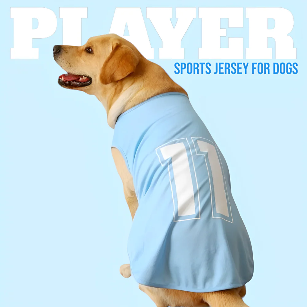 Talking Dog Club Player Ltd Edition Sports Jersey for Dogs (Blue)