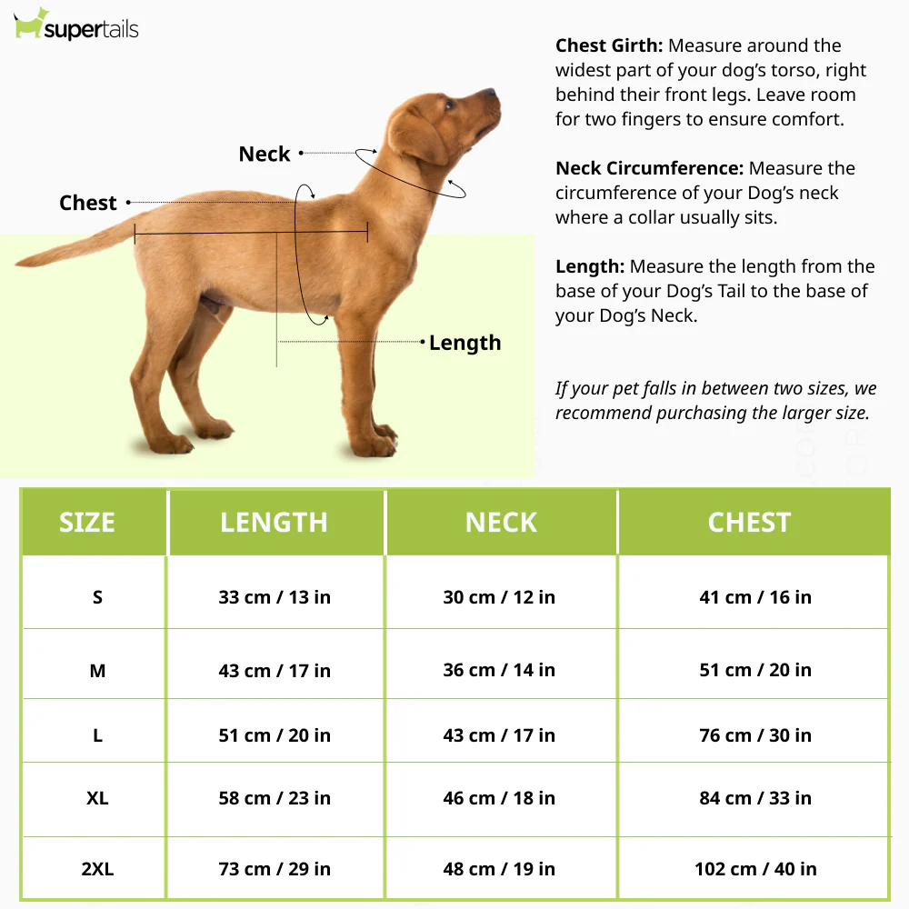 Talking Dog Club Player Ltd Edition Sports Jersey for Dogs (Yellow) - Image 2