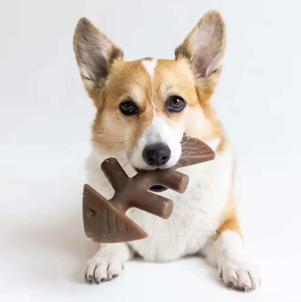Talking Dog Club Fish Nylon Bone Heavy Chew Toy for Dogs (Brown) - Image 5