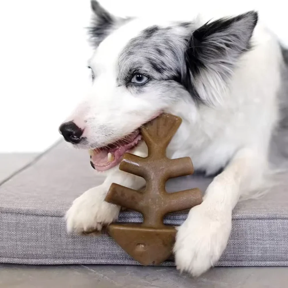 Talking Dog Club Fish Nylon Bone Heavy Chew Toy for Dogs (Brown) - Image 6