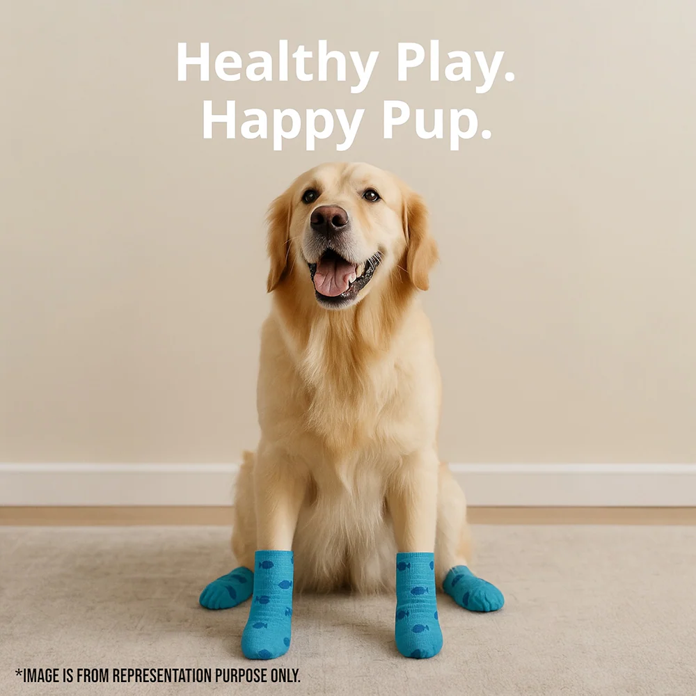 Talking Dog Club Self Adhesive Paws Wraps for Dogs (Blue Fish) - Image 6