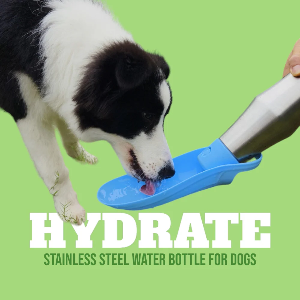Talking Dog Club Stainless Steel Travel Water Bottle for Dogs (Sliver/Grey) - Image 6